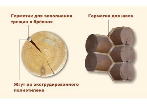 Баня из сруба своими руками: выбор древесины и очередность работ, инструкции (видео)