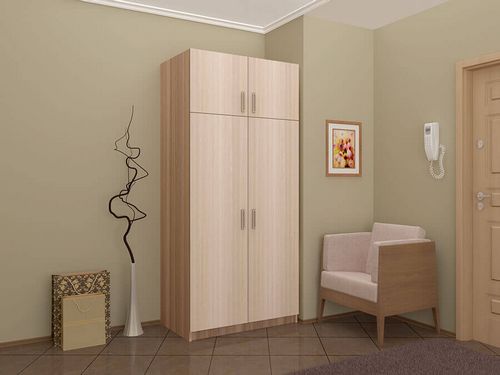 Двухстворчатые шкафы для одежды (42 фото): двухдверный шкаф, двухстворчатое изделие, 2-х створчатая мебель