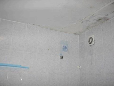Ремонт потолка в ванной комнате своими руками, видео инструкция и фото