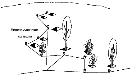 Рис. 1. Высадка деревьев и кустарников на участке по горизонтали