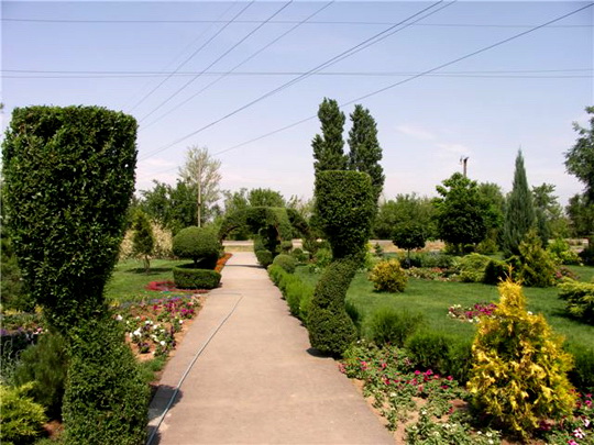 Шикарный сад