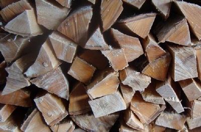 Какие дрова лучше для отопления - научитесь выбирать правильно!