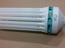 Профессиональные led лампы для теплиц, натриевые, энергосберегающие, выбор подсветки, а также особенности освещения в теплице зимой, расчет количества ламп