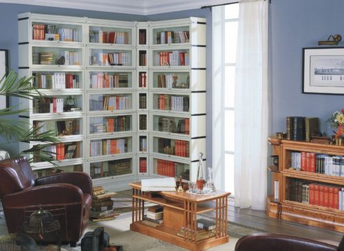 Книжный шкаф со стеклянными дверцами (57 фото): узкий шкаф для книг с дверями со стеклом, из массива сосны и дуба, низкая и неглубокая витрина