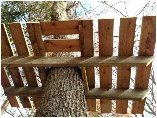 Как строить шалаш на дереве. Как сделать шалаш на дереве своими руками