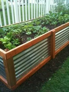 Beautiful raised bed design - I love the tin! Even when it rusts, it'll be a great look! Raised Vegetable Gardens, Raised Garden Beds Diy, Lawn And Garden, Raised Gardens, Vegetable Gardening