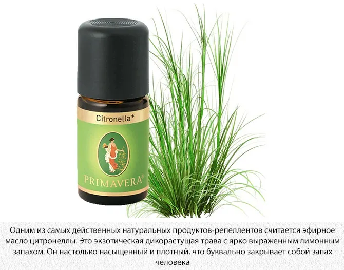 Запахи отпугивающие мошек. Запахи отпугивающие мошек. Запахи отпугивающие мошек. Цветочные мошки. Запахи которые отпугивают насекомых.